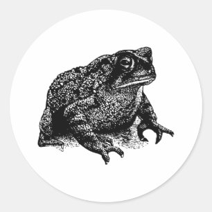 Sticker Rond Toad