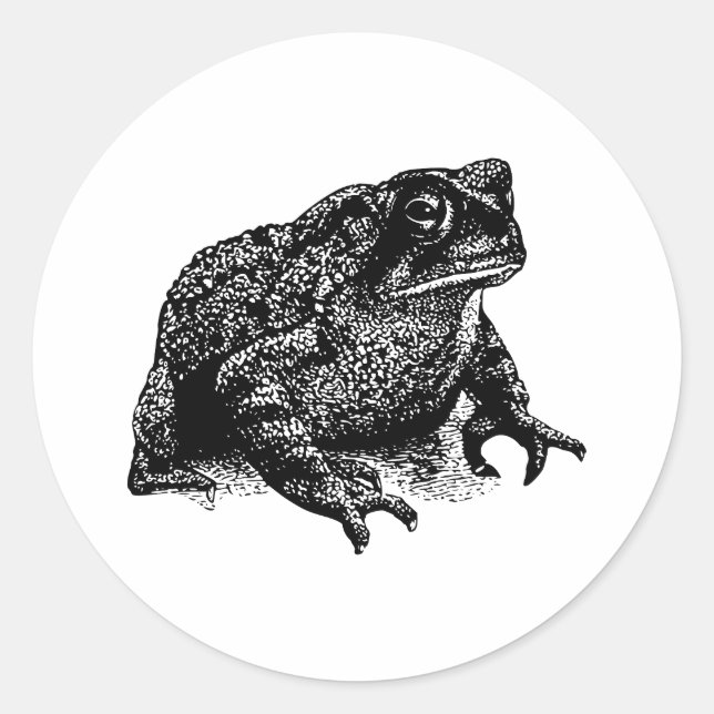 Sticker Rond Toad (Devant)