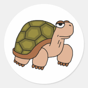 Sticker Rond Tortue