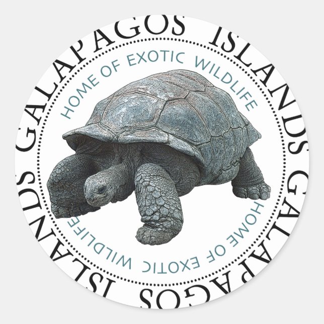 Sticker Rond Tortue des îles Galapagos (Devant)