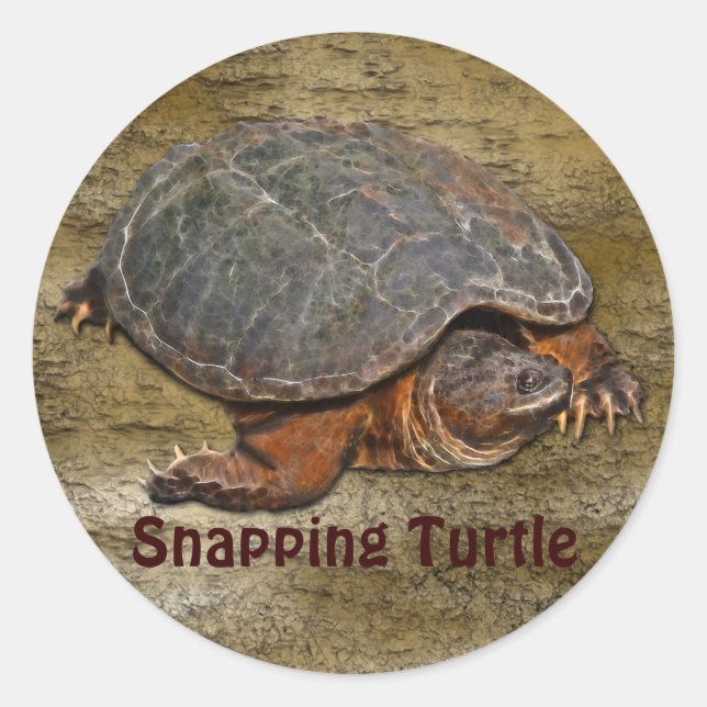 Sticker Rond Tortue serpentine Terrapin-lover Cadeau (Devant)