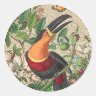 Sticker Rond Toucan Jungle Tropical Bird Belle antique