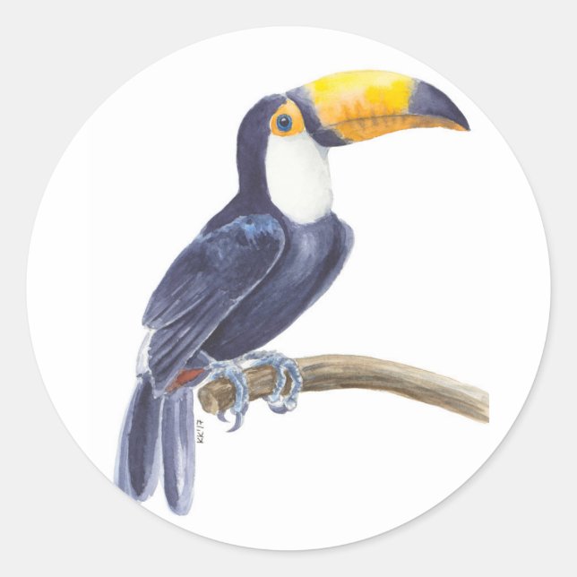 Sticker Rond Toucan, oiseau tropical (Devant)