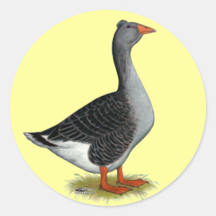 Sticker Rond Toulouse Goose