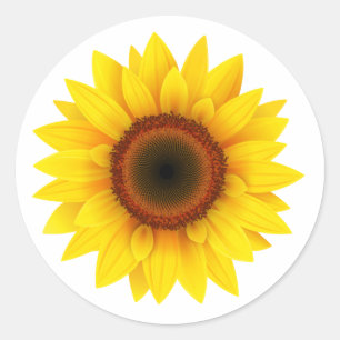 Sticker Rond Tournesol