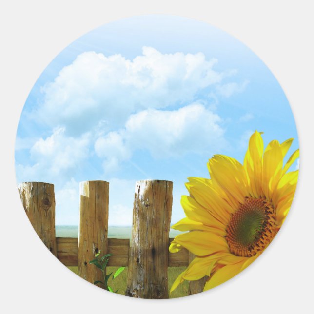 Sticker Rond Tournesol le jour du soleil (Devant)