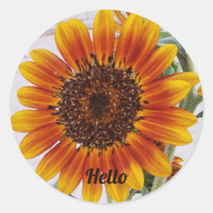 Sticker Rond Tournesol photo couleur orange jaune