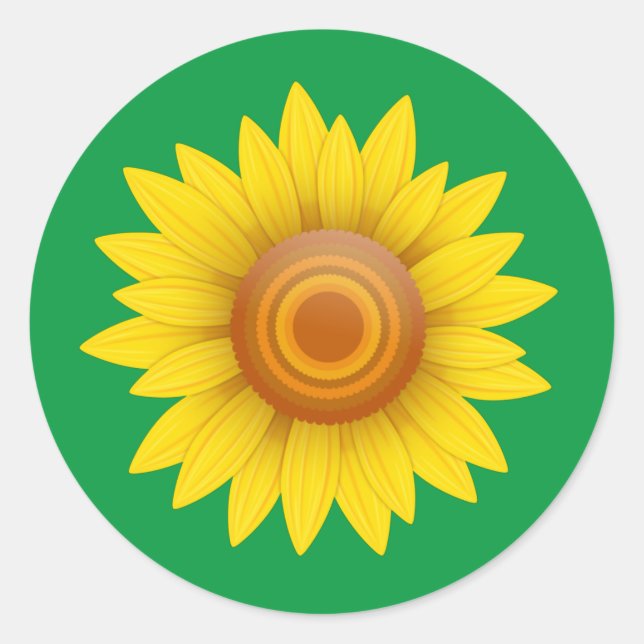 Sticker Rond Tournesol vert (Devant)