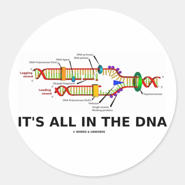 Sticker Rond Tout est dans l'ADN (Devant)