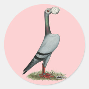 Sticker Rond Transporteur Pigeon 2012