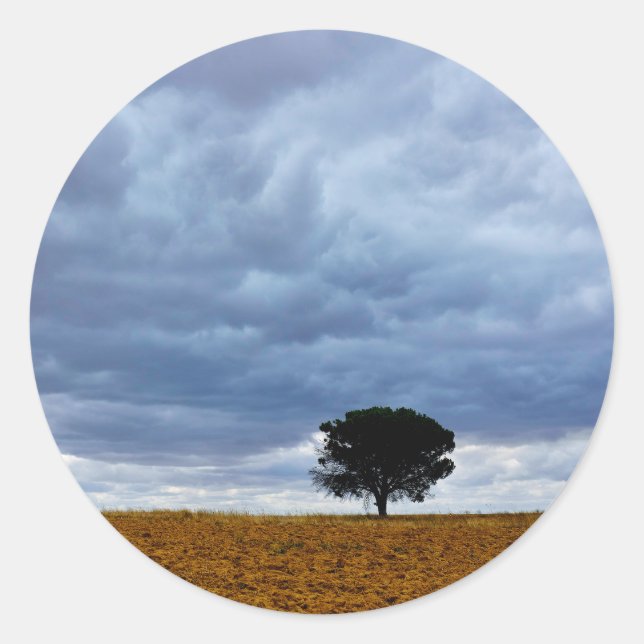 Sticker Rond Tree in an empty field (Devant)