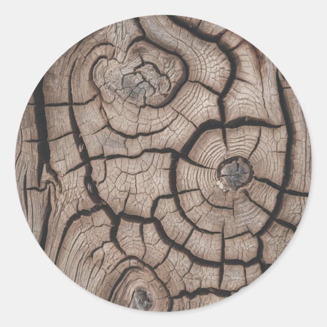 Sticker Rond Trendy Wood Wooden Tree Logs (Devant)