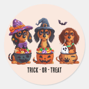 Sticker Rond Trick Ou Treat Halloween Dachshund Dogs