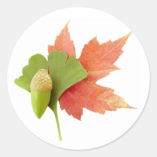 Sticker Rond Trio de chute