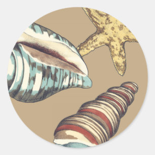 Sticker Rond Trio de Shell sur kaki
