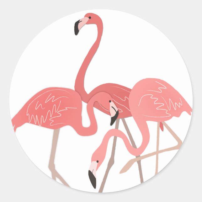 Sticker Rond Trio Flamant rose (Devant)