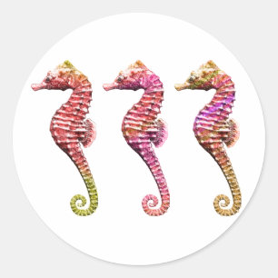 Sticker Rond Trio hippique en rouge