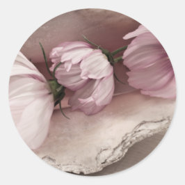 Sticker Rond Trois cosmos roses