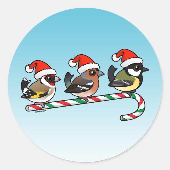 Sticker Rond Trois Finches de Noël (UE) (Devant)