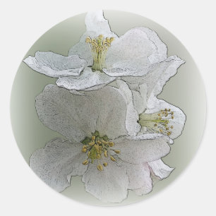 Sticker Rond trois fleurs blanches