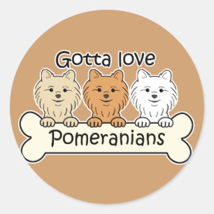 Sticker Rond Trois Pomeranians