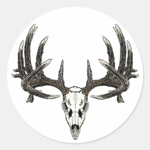 Sticker Rond Trophée Whitetail