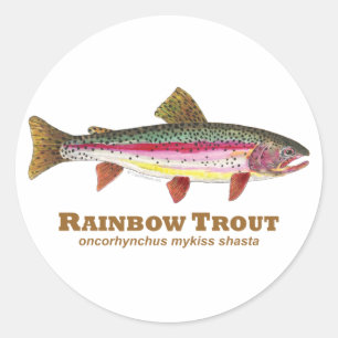 Sticker Rond Truite arc-en-ciel latine