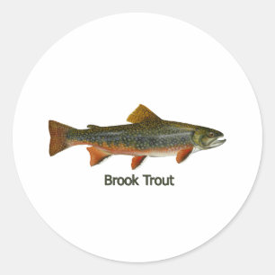 Sticker Rond Truite de ruisseau (intitulée)