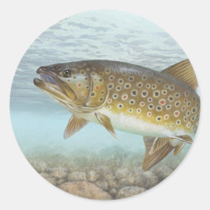 Sticker Rond Truite, ruisseau