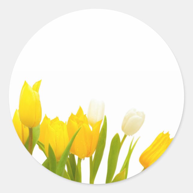 Sticker Rond Tulières jaunes (Devant)