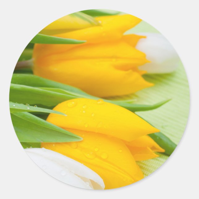 Sticker Rond Tuliforme jaune (Devant)