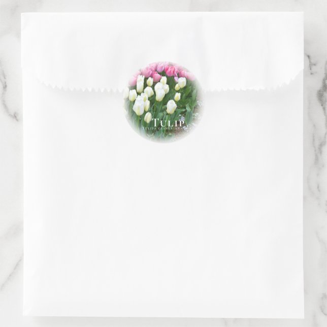 Sticker Rond Tulip (Sac)