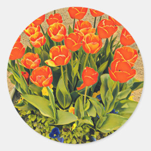 Sticker Rond Tulipes modernes coloré orange