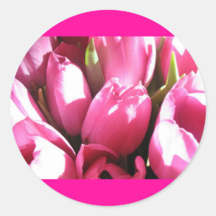 Sticker Rond Tulipes roses