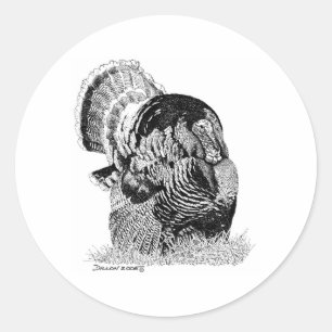 Sticker Rond Turquie sauvage
