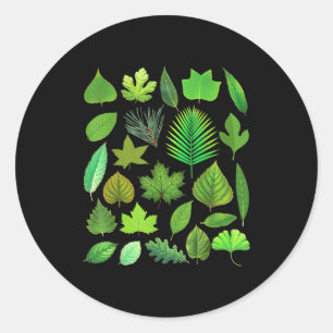 Sticker Rond Types de feuilles d'arbre Biologie Nature Éducatif