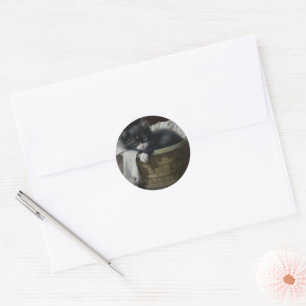 Sticker Rond Un Coin Cosy Kittens