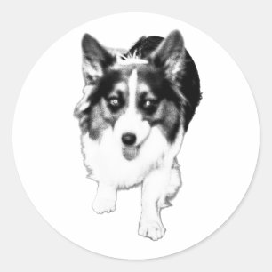 Sticker Rond Un corgi flou capturé en stride devient coma
