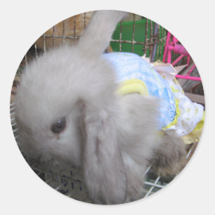 Sticker Rond Un lapin bébé Kawaii en robe