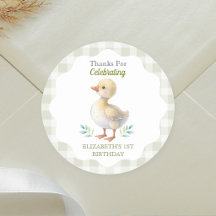 Un premier anniversaire de bébé en vichy vert One