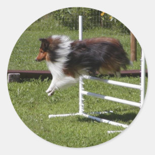 Sticker Rond Un Sheltie dégage la barre