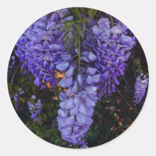 Sticker Rond une belle touche de nature