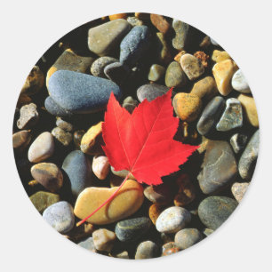 Sticker Rond Une feuille d'érable sur un fond rocheux