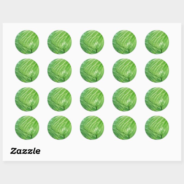 Sticker Rond Une tête de chou (Feuille)
