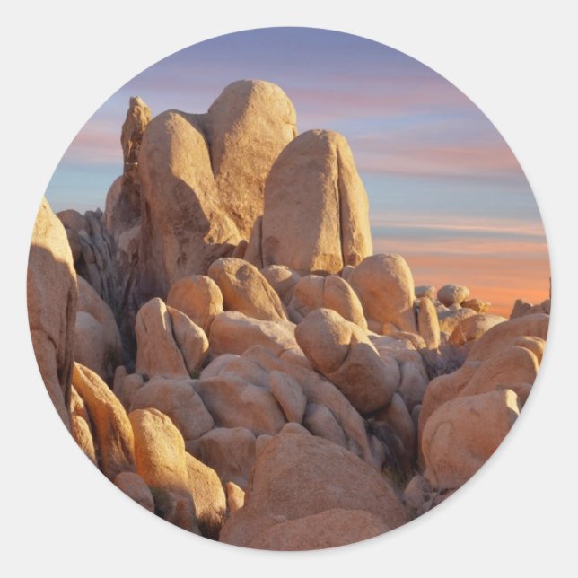 Sticker Rond USA, Californie, Parc national de Joshua Tree (Devant)
