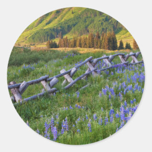 Sticker Rond USA, Colorado. Lupines et clôtures de rails