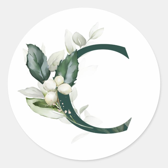 Sticker Rond Vacances d'hiver MONOGRAM baies blanches (Devant)