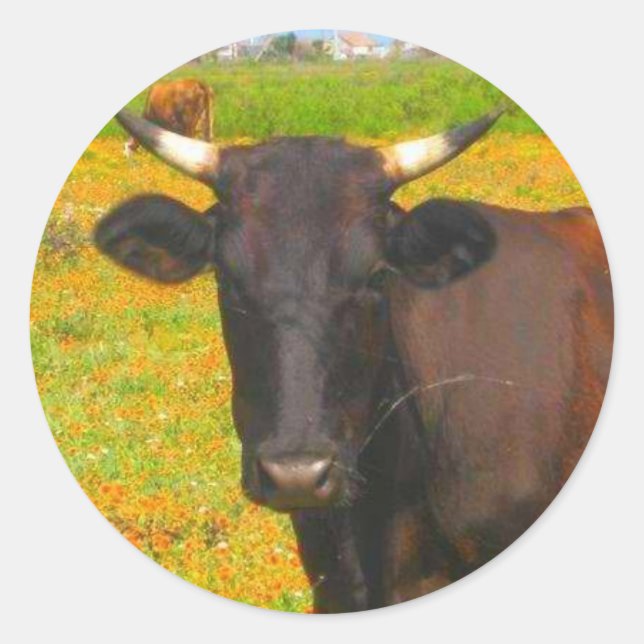 Sticker Rond Vache (Devant)