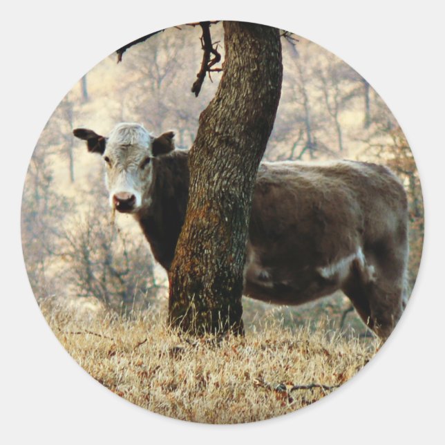 Sticker Rond Vache derrière l'arbre (Devant)