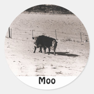 Sticker Rond vaches